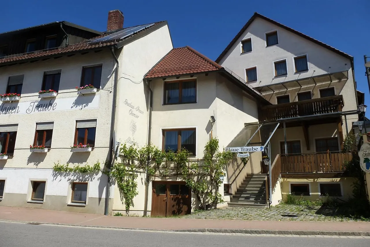 Hotel Blaue Traube à Gebenbach 0*,  Allemagne