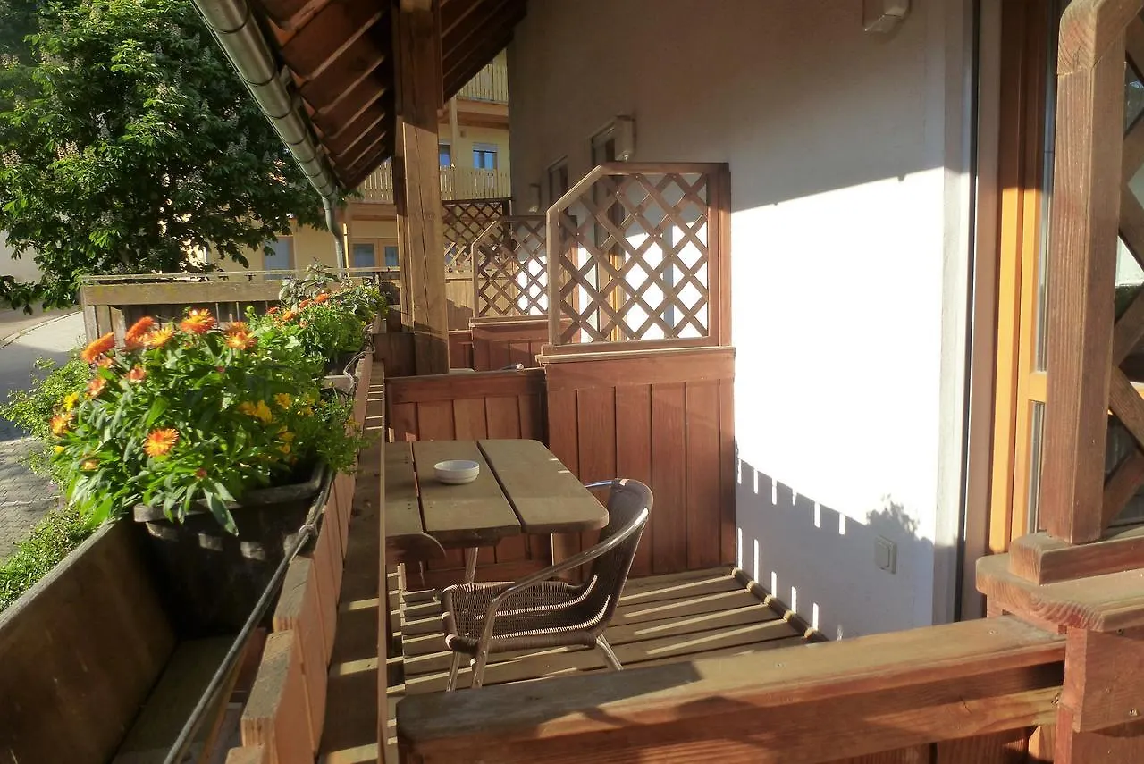 Hotel Blaue Traube à Gebenbach Mini-hôtel